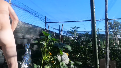 mixxx672901  25-06-2022